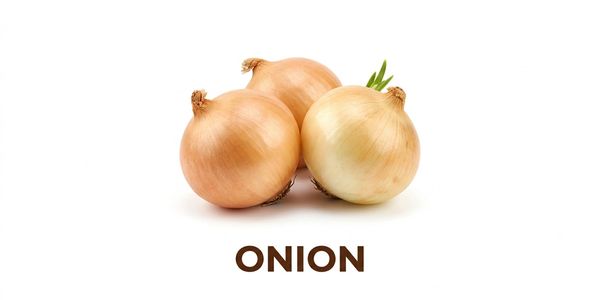Three whole onions with a sprout on white background and the word ONION below.