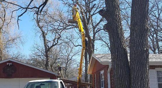Safety is number 1 with our tree removal services.
