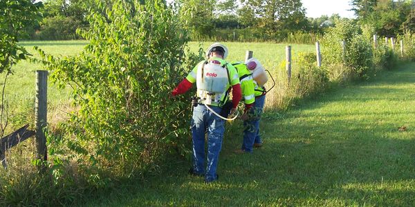 Weed control services