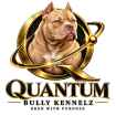 Quantum Bully Kennelz