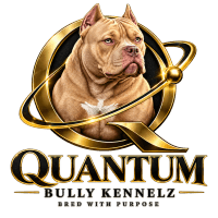Quantum Bully Kennelz