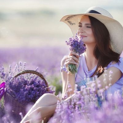  Woman with sun hat sitting in lavender field smiling and smelling lavender 