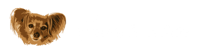 Vivien's Vegan Chocolates