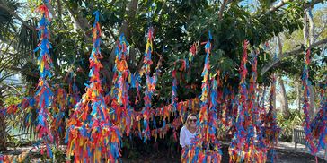Colorful ribbons hanging from trees in a sunny outdoor setting.