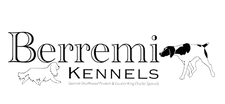 Berremi Kennels