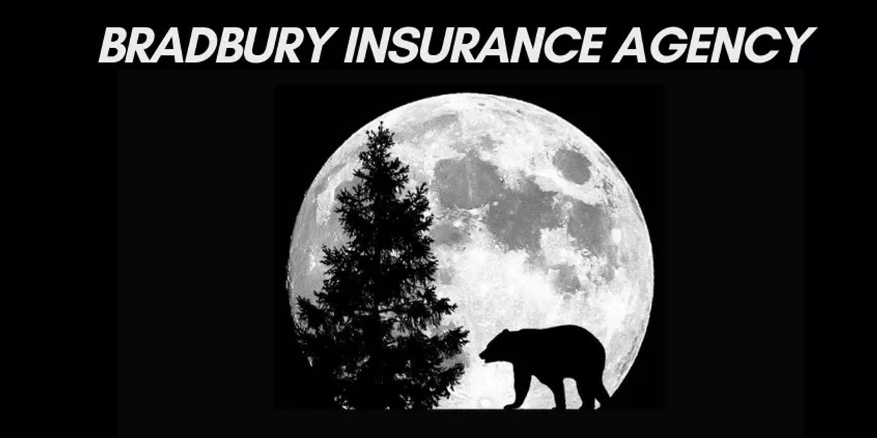 Logo with a bear and tree silhouette against a full moon for Bradbury Insurance Agency.