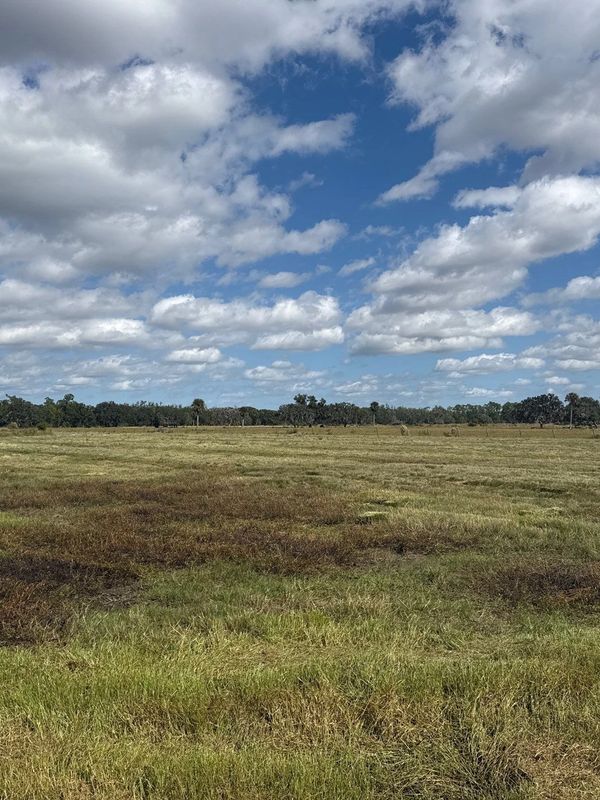 A vast grassy field under a sky filled with scattered clouds.