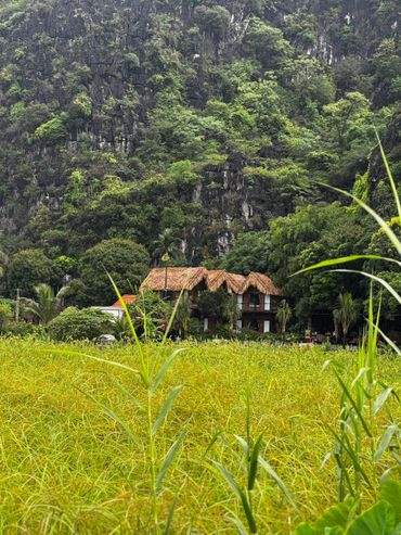 Thatched roof house nestled among trees with rocky hills backdrop.