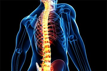 spine align chiropractic center spine align chiropractic center