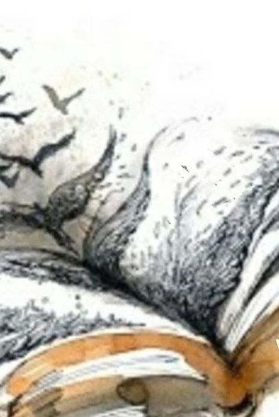 Knowledge flies like birds and wisdom activates