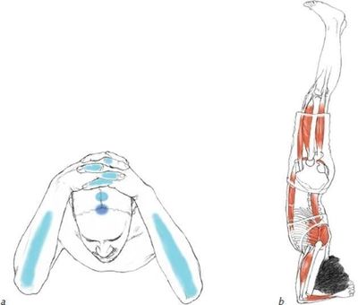 Headstand or Sirsasana