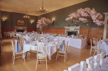 Blossom Tree Hire  - Venue Dressing - Decorative Hire - Wedding Decorations - Venue styling - London