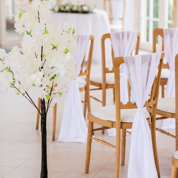 Beautiful Blossom Trees available to hire for weddings and events-Berkshire-Hampshire-Surrey.