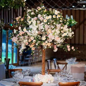 Beautiful Blossom Trees available to hire for weddings and events-Berkshire-Hampshire-Surrey.