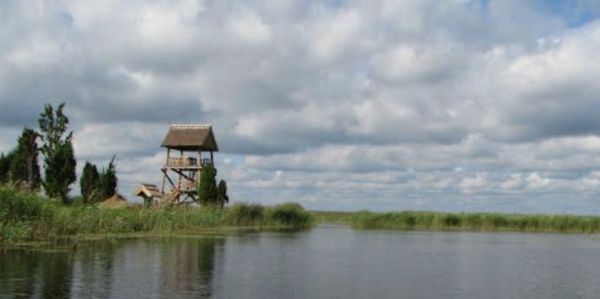 A wooden watchtower by a marsh under cloudy sky.