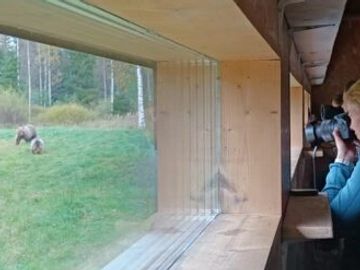 People watching bears through a glass window.