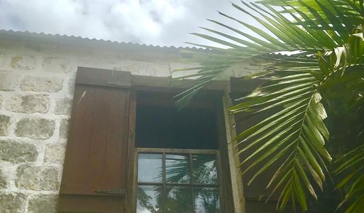 An old open window with vibrant viridian palm leaves to the right and a pale grey-blue sky above.