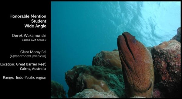 one of my photography awards 