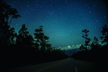 Road to the Everglades at 11pm