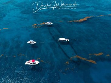 Four boats floating on blue water with seaweed patches.