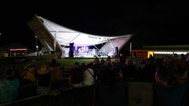 Outdoor night concert with audience seated on grass in front of an illuminated stage.