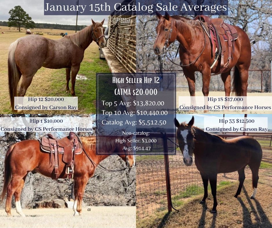 Anderson County Livestock Exchange - Horse Sale, Horse Auction