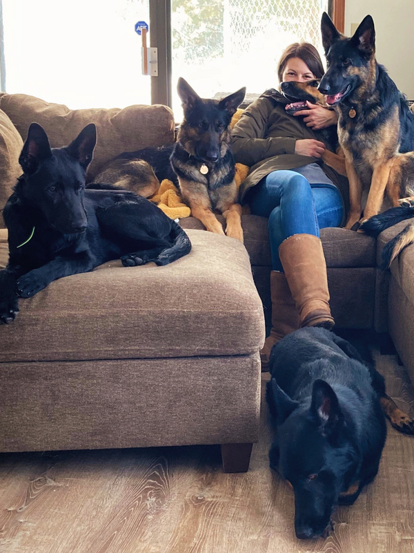 German Shepherd Breeder Kansas