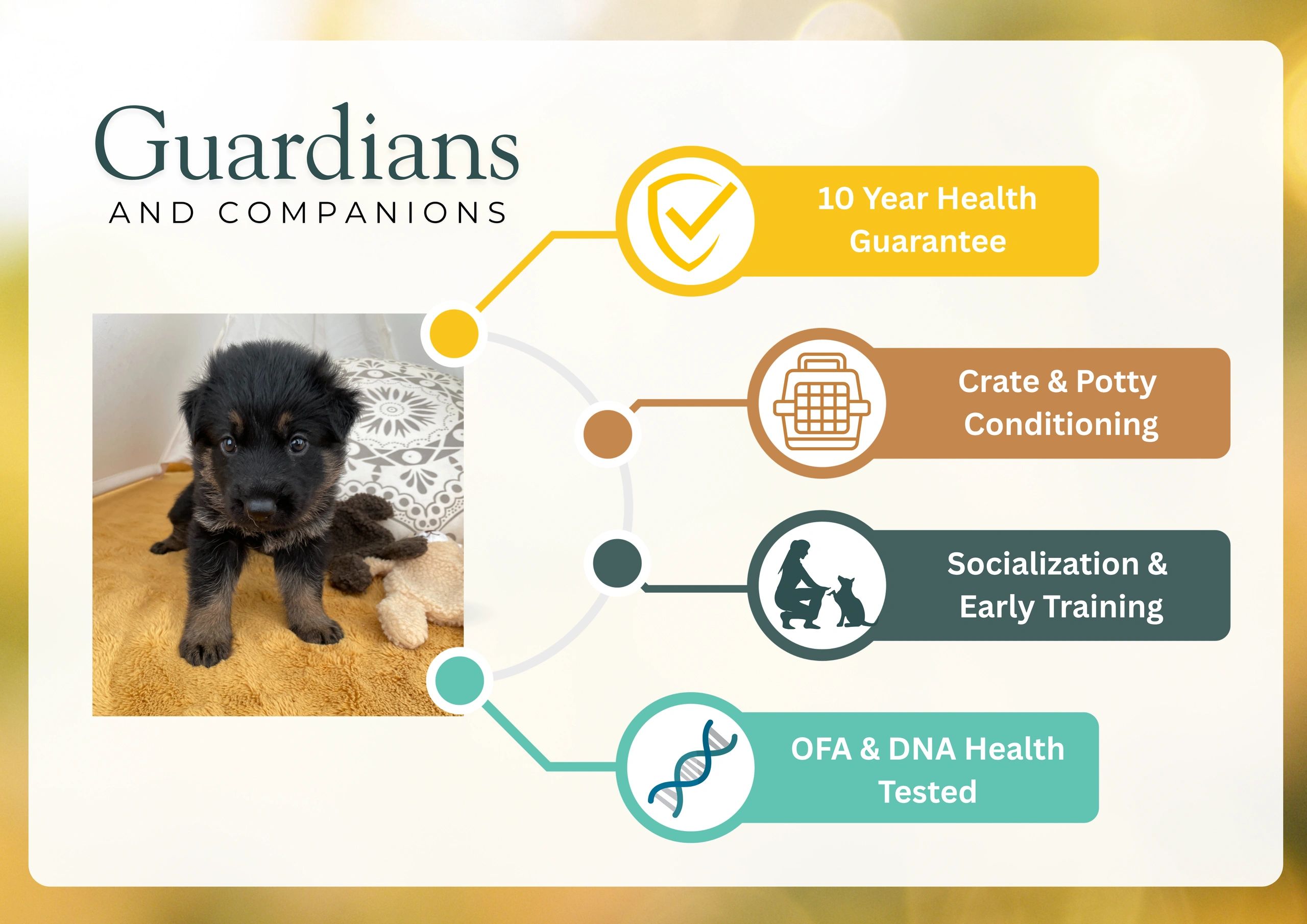 German Shepherd Puppies for sale in kansas city
