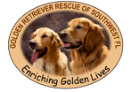 Golden Retriever Rescue of Southwest Florida