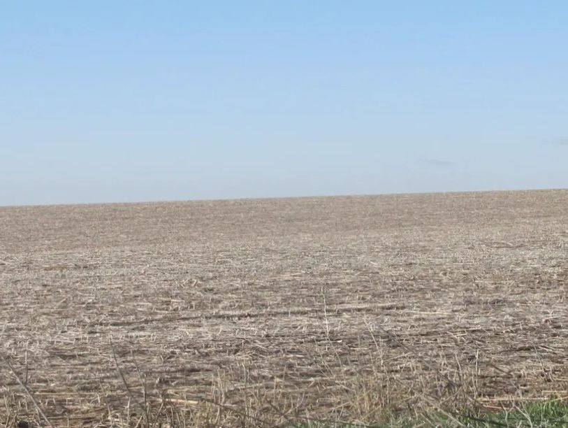 A vast, empty field under a clear blue sky.