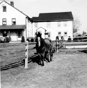 History of Wright Farm | Wright Farm Sudbury Child Care