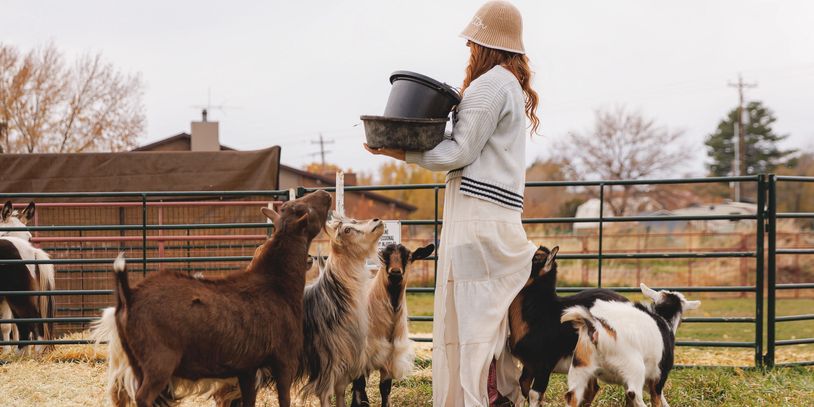 Amanda feeding the goats at The Wellness Farm Foundation