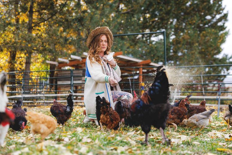 Woman feeding chickens outdoors in autumn with a straw hat and cozy cardigan. Photo Credit Carolina Burton Photography