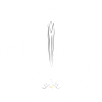 thelevenbats.co.uk