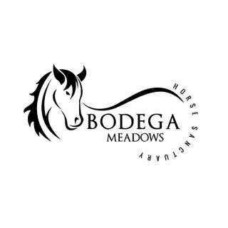 Bodega Meadows Horse Sanctuary