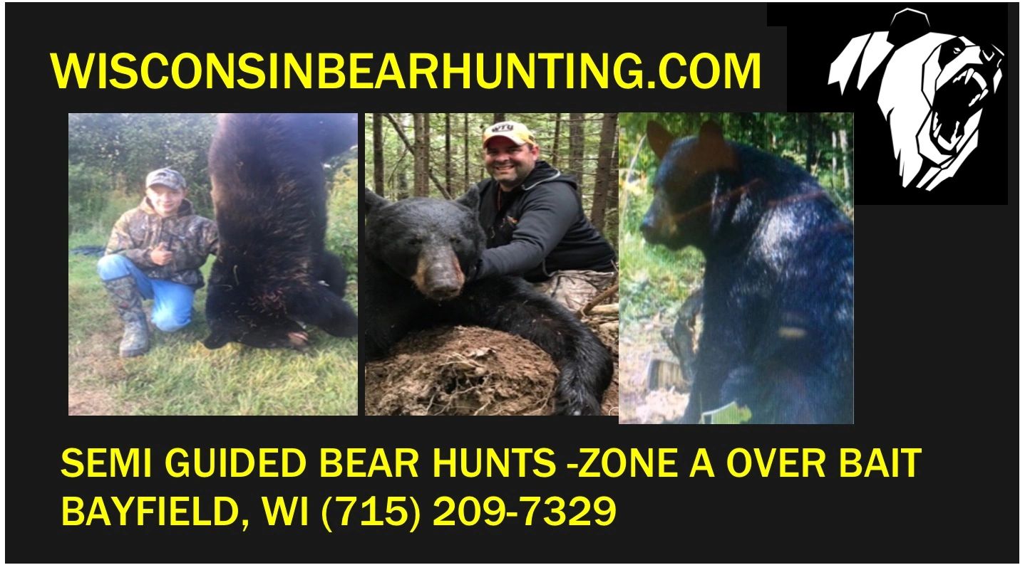 Wisconsin Bear Hunting