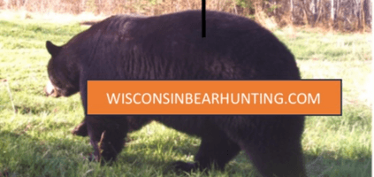 Wisconsinbearhunting.com