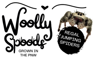 Woolly Spoods