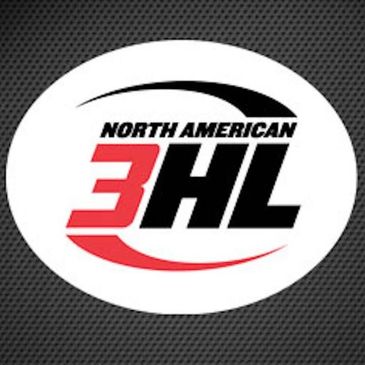 North American 3HL hockey league logo with bold text and swoosh design.