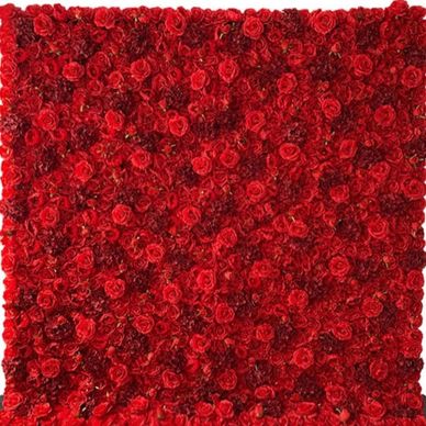 A dense wall of vibrant red roses in full bloom.