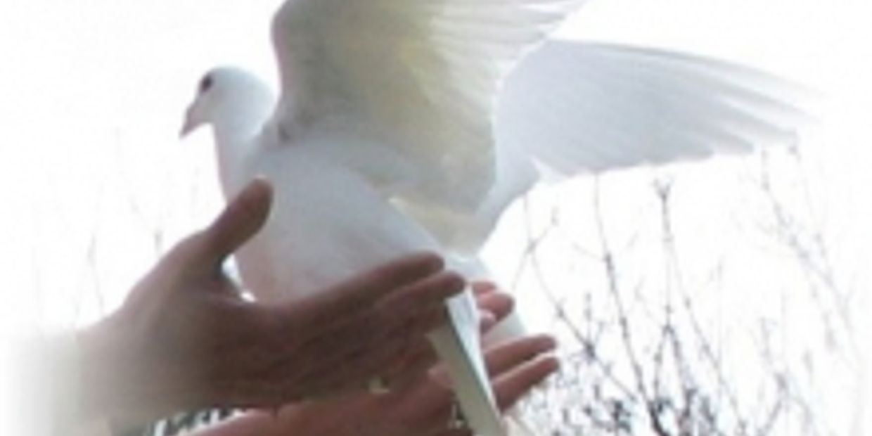 Funerals & Memorials