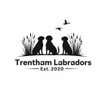 Trentham Labradors