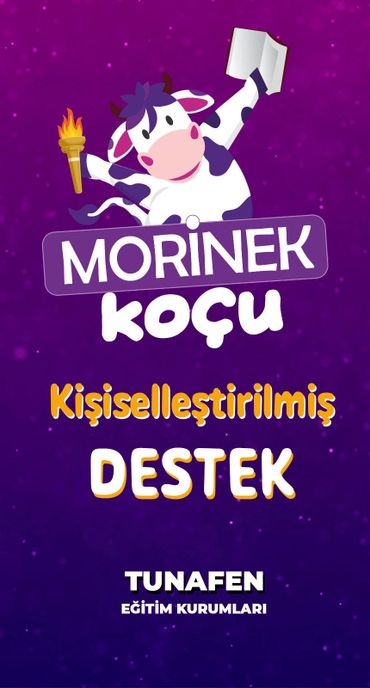 kişisel destek öğrenci koçu