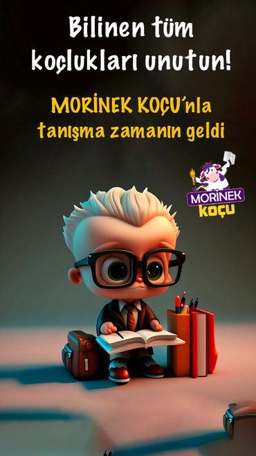 öğrenci koçluğu online takip en iyi öğrenci koçu