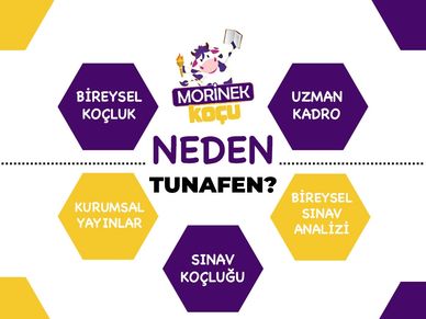 mor inek koçluğu nedir