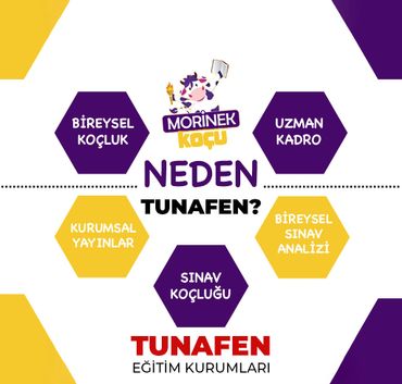 mor inek koçu öğrenci koçu