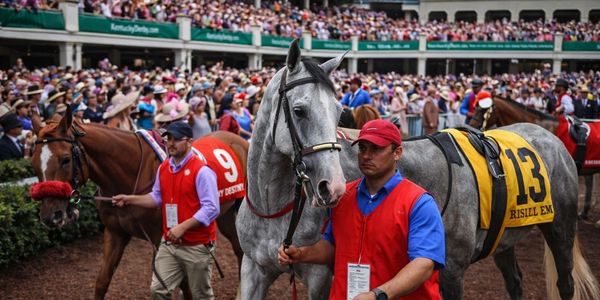 Jockeys lead racehorses wearing numbered saddlecloths in front of a packed racetrack crowd.