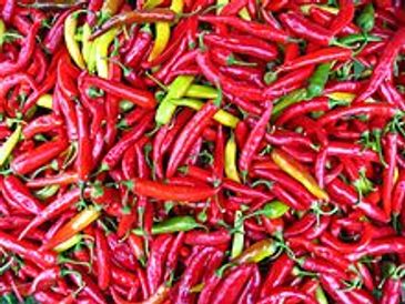 Spicy peppers seasonings