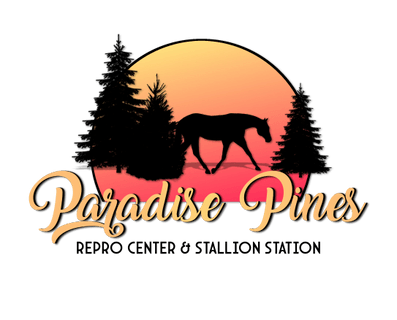 Paradise Pines 
Equestrian Center