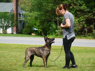Dog Trainer Alyssa and her dog Valak doing leash obedience training. 